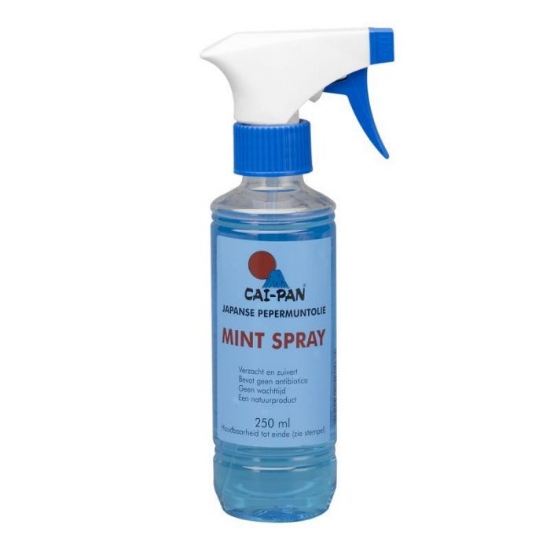 Afbeeldingen van Cai-pan mintspray 250 ml