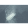 Afbeeldingen van Topro Top Fizz 20 x 60 gram