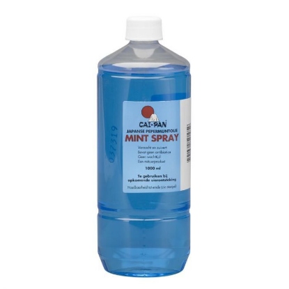 Afbeeldingen van Cai-pan mintspray navulverpakking 1000 ml
