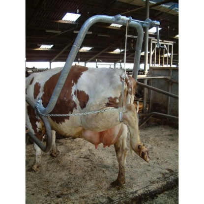 Afbeeldingen van Hoefbekapbeugel Vink 2"