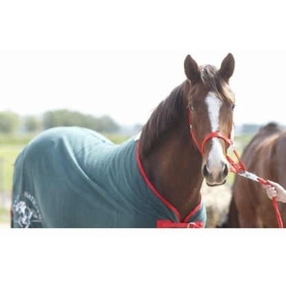 Afbeeldingen van GrandNational Paardendeken Fleece 195cm