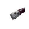 Afbeeldingen van Econom CL Equipe GT816 met 2e accu