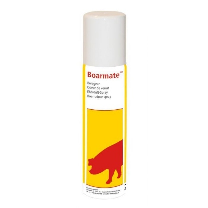 Afbeeldingen van Boarmate beregeur 250 ml