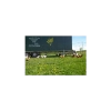 Afbeeldingen van Kippennet Farmer® 110cm x 50m