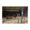 Afbeeldingen van Silva Vliegenval Manchet 12 x 30 cm 12 stuks