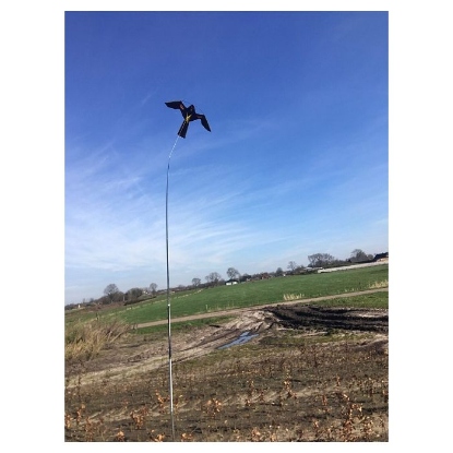 Afbeeldingen van Vogelverschrikker Bird Scaring Kite 4m. met draaiende voet