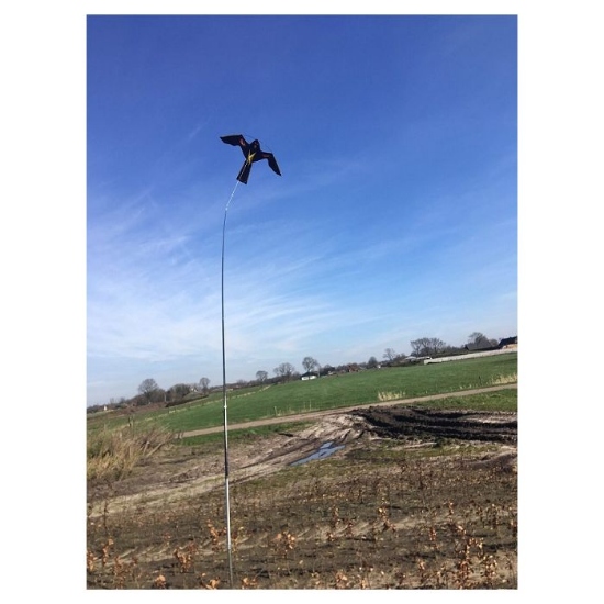 Afbeeldingen van Vogelverschrikker Bird Scaring Kite 4m. met draaiende voet