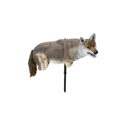 Afbeeldingen van Vogelverschrikker Angry Wolf