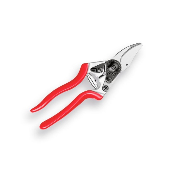 Afbeeldingen van Snoeischaar Felco 6