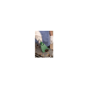 Afbeeldingen van Groen - 40602