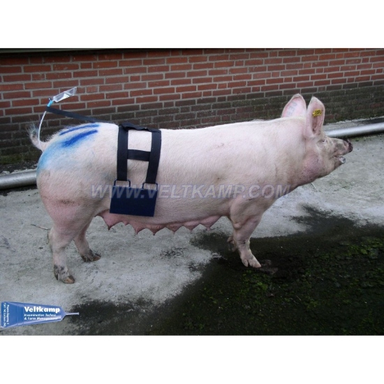 Afbeeldingen van INSEMINATIEHARNAS, COMPLEET