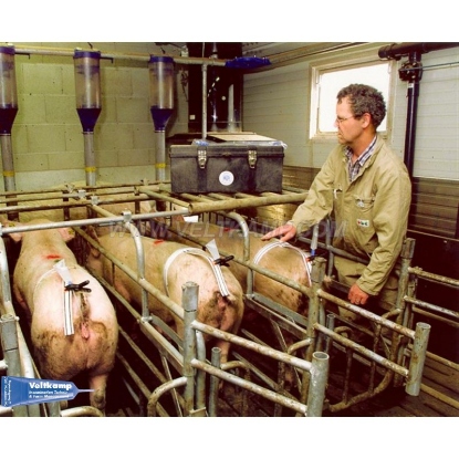 Afbeeldingen van INSEMINATIERIEM MET KLITTENBAND