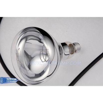 Afbeeldingen van VERWARMINGSLAMP, DUN GLAS, 125 WATT, WIT