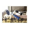 Afbeeldingen van Scheermachine Econom CL NOVA met accu schaap GT684
