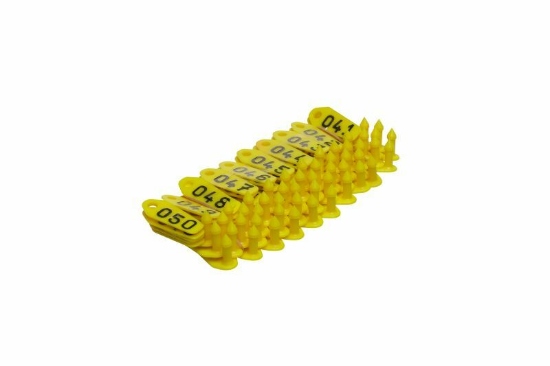 Afbeeldingen van Jumbo GEEL 601-700 VX