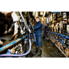 Afbeeldingen van Laars Purofort+ C762933
